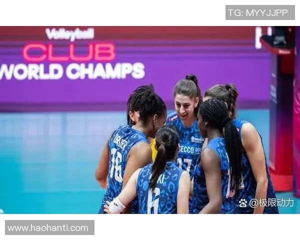 上海排球队速度变革引发热议球迷期待新赛季表现提升