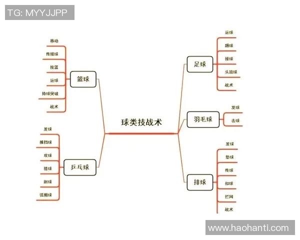 体育实时数据广州排球队反击战术深度解析与实战应用探讨