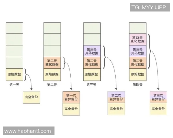 运动数据南京攀岩队耐力表现数据分析与训练策略探讨